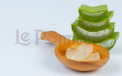 Dos remedios caseros con sábila —aloe vera— para la cara